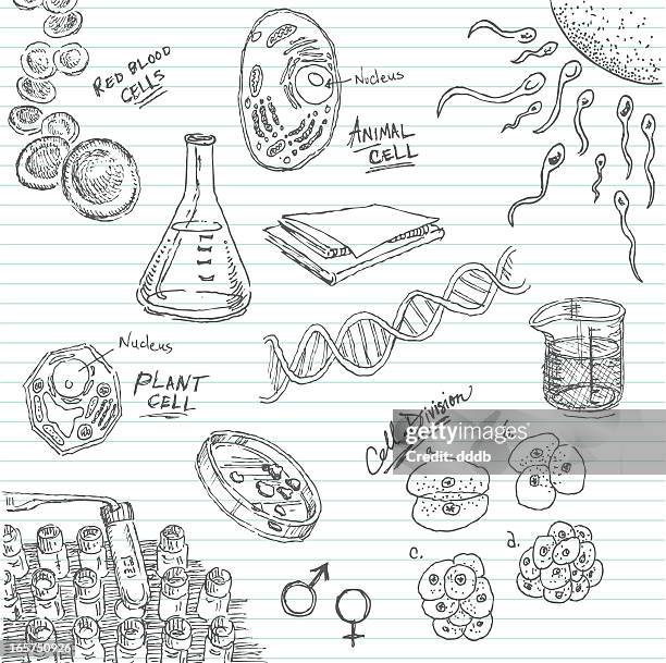 leben in einer petrischale gekritzel - cell biology stock-grafiken, -clipart, -cartoons und -symbole