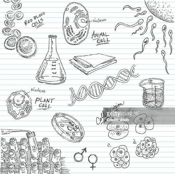 bildbanksillustrationer, clip art samt tecknat material och ikoner med life in a petri dish doodle - biologi