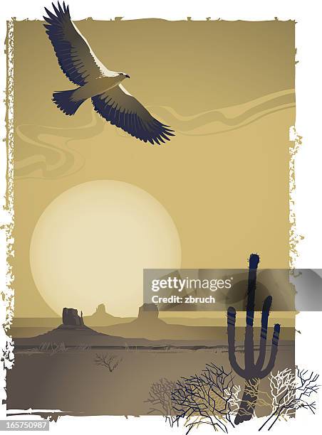 illustration of a prairie flying over the desert at sunset - arizona bird stock illustrations