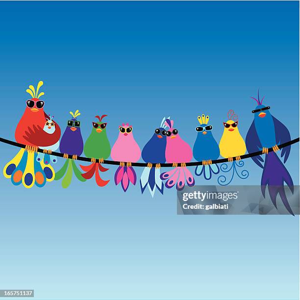 stockillustraties, clipart, cartoons en iconen met family of birds wearing sunglasses - telefoondraad