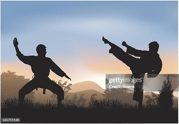 training in der natur - karate stock-grafiken, -clipart, -cartoons und -symbole