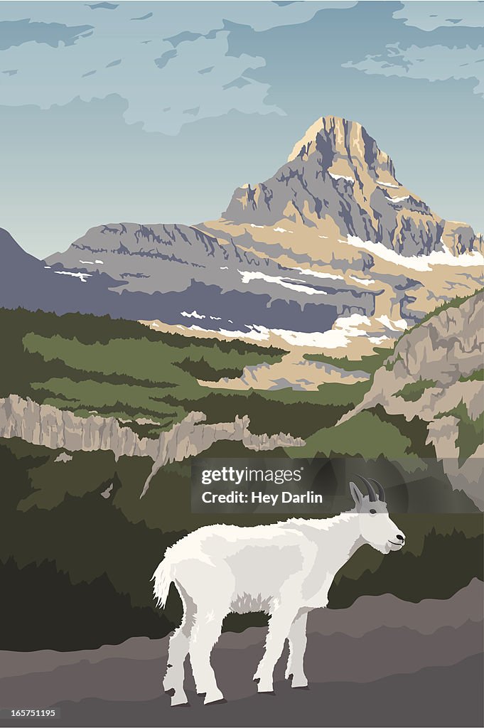 Glacier National Park with Mountain Goat