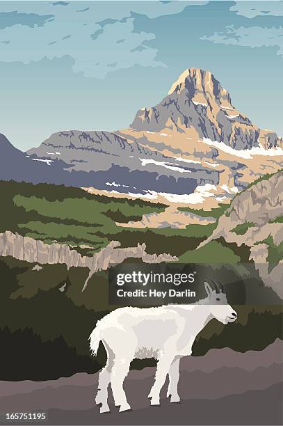 glacier national park with mountain goat - glacier national park stock illustrations