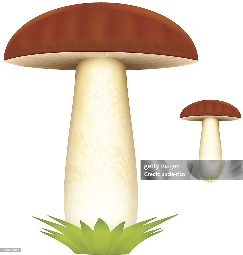 Mushroom