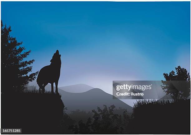 call of the wild - wolfpack stock illustrations
