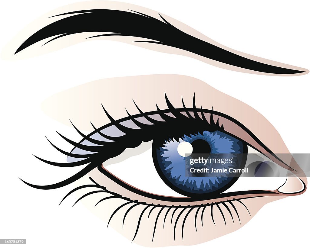 Female eye illustration