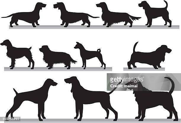 set of hounds - basset hound stock illustrations