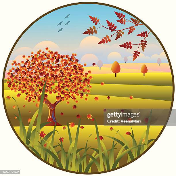 Fall Sky Drawings Autumn Leaves Blue Sky High Res Illustrations - Getty Images