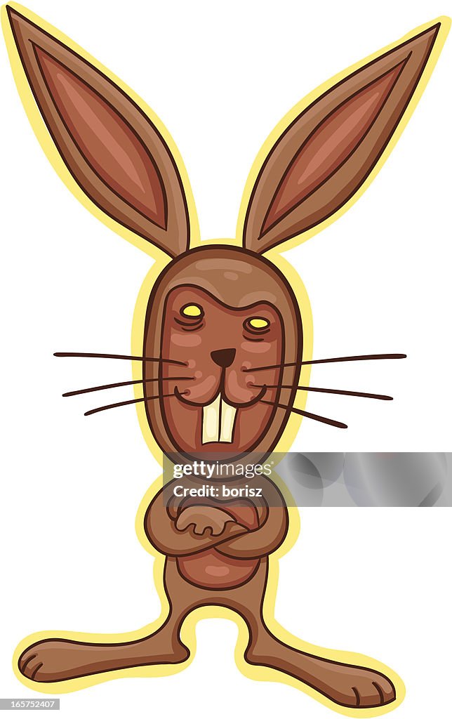 Coco Bunny
