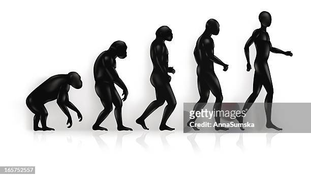 evolution - man ape stock illustrations