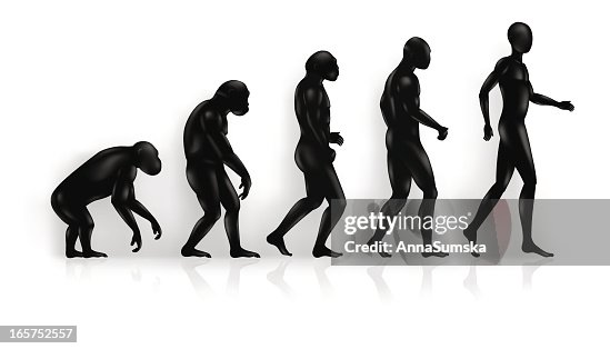 Evolution Evolution
