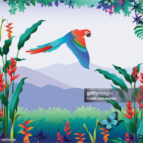 flying parrot tropical mountain view - scarlet macaw stock illustrations