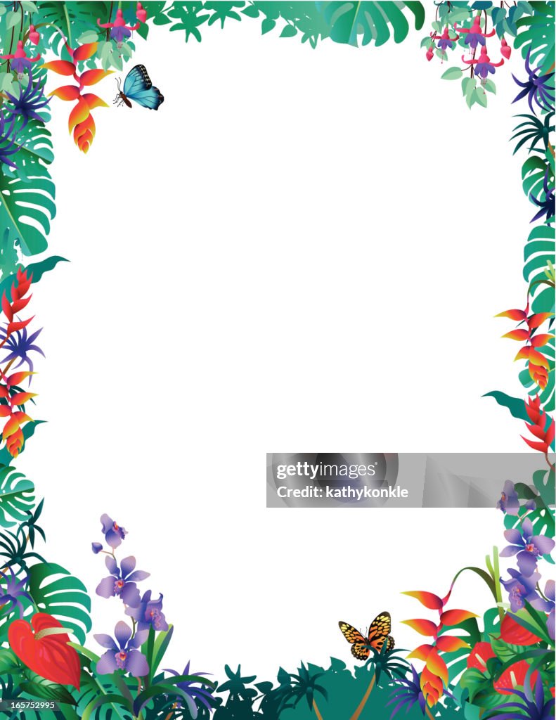 Tropical border with orchids
