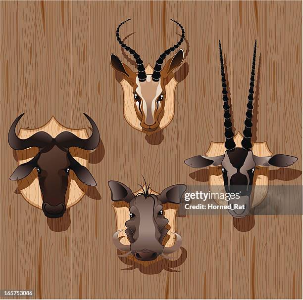 trofe wall - animal head on wall stock illustrations