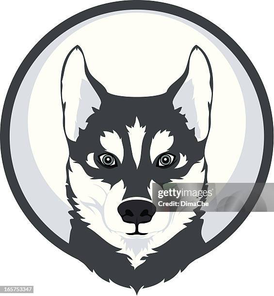 husky mascot - husky stock illustrations
