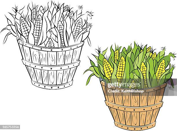 bushel of corn in husks - husk 幅插畫檔、美工圖案、卡通及圖標