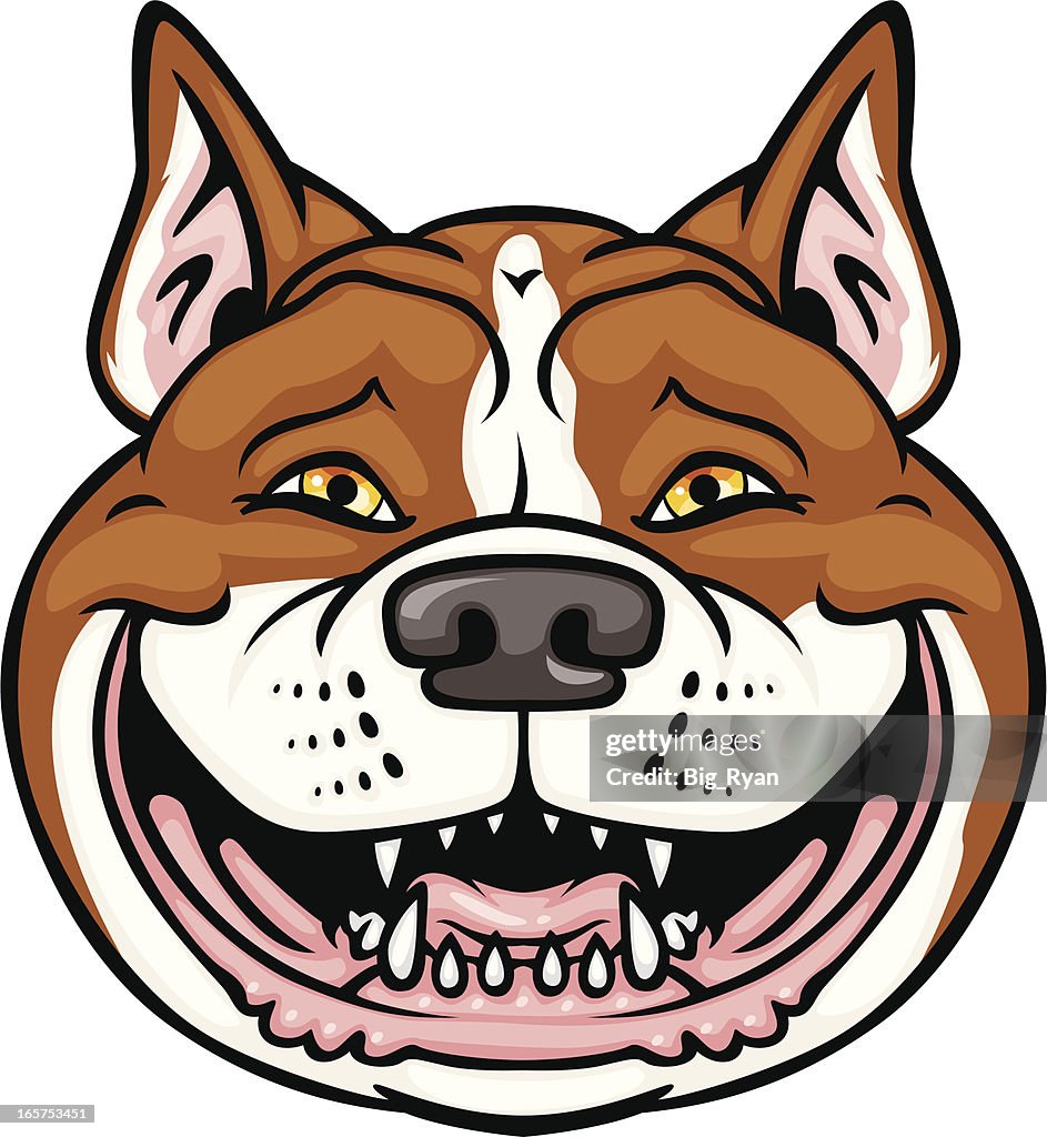 Happy pitbull
