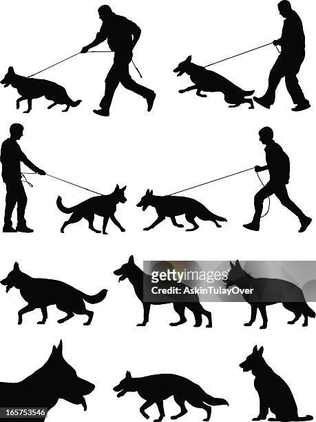 ilustraciones, imágenes clip art, dibujos animados e iconos de stock de perro lobo - dog leash
