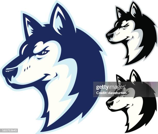 ilustrações de stock, clip art, desenhos animados e ícones de husky potência ii mascote - husky