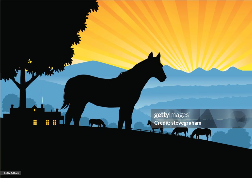 Horses at Dawn