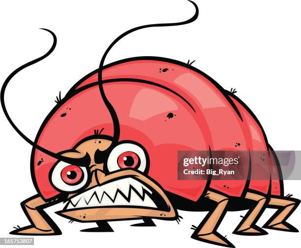 Tooth Bugs Photos and Premium High Res Pictures - Getty Images