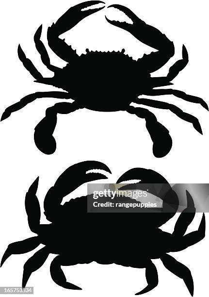 stockillustraties, clipart, cartoons en iconen met crabs - klauw-lichaamsdeel-van-dieren
