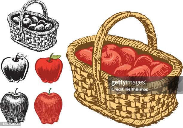 apple basket and apples - macintosh apple stock illustrations