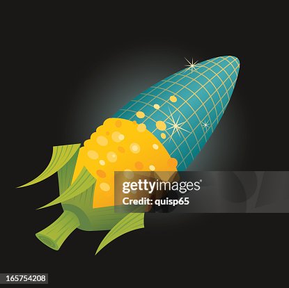 Genetically Modified Corn Genetically Modified Corn