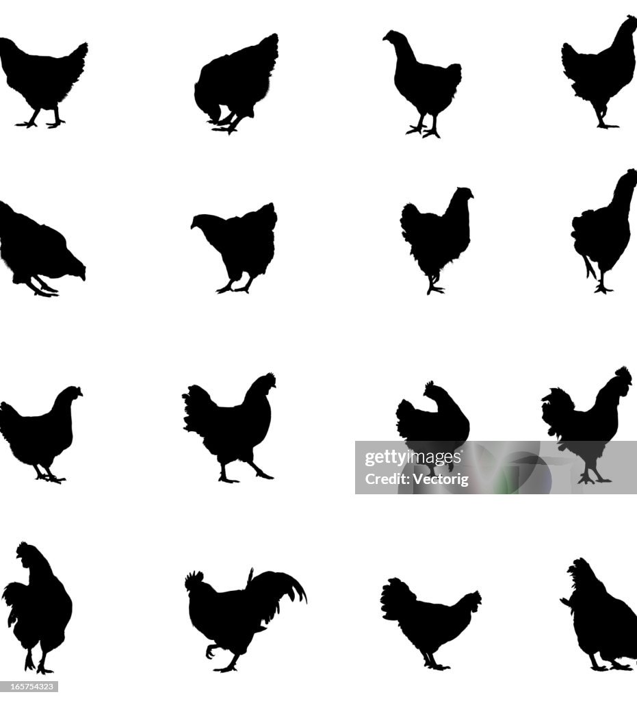 Chicken and Rooster Silhouette