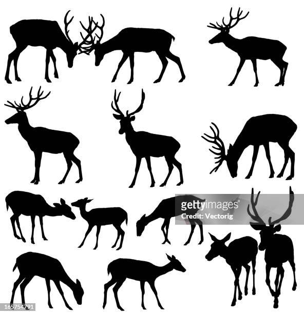 deer silhouette - doe stock illustrations