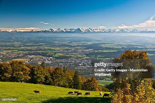 the roof of europe - solothurn stockfoto's en -beelden