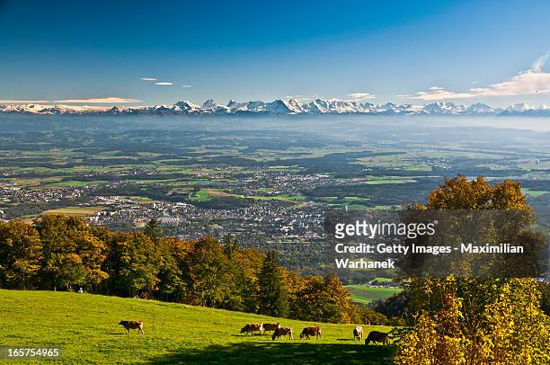 the roof of europe - solothurn stock pictures, royalty-free photos & images