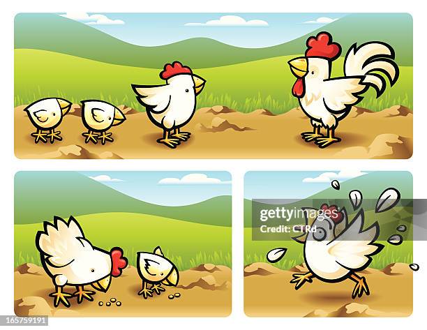 chicken - scared chicken stock illustrations