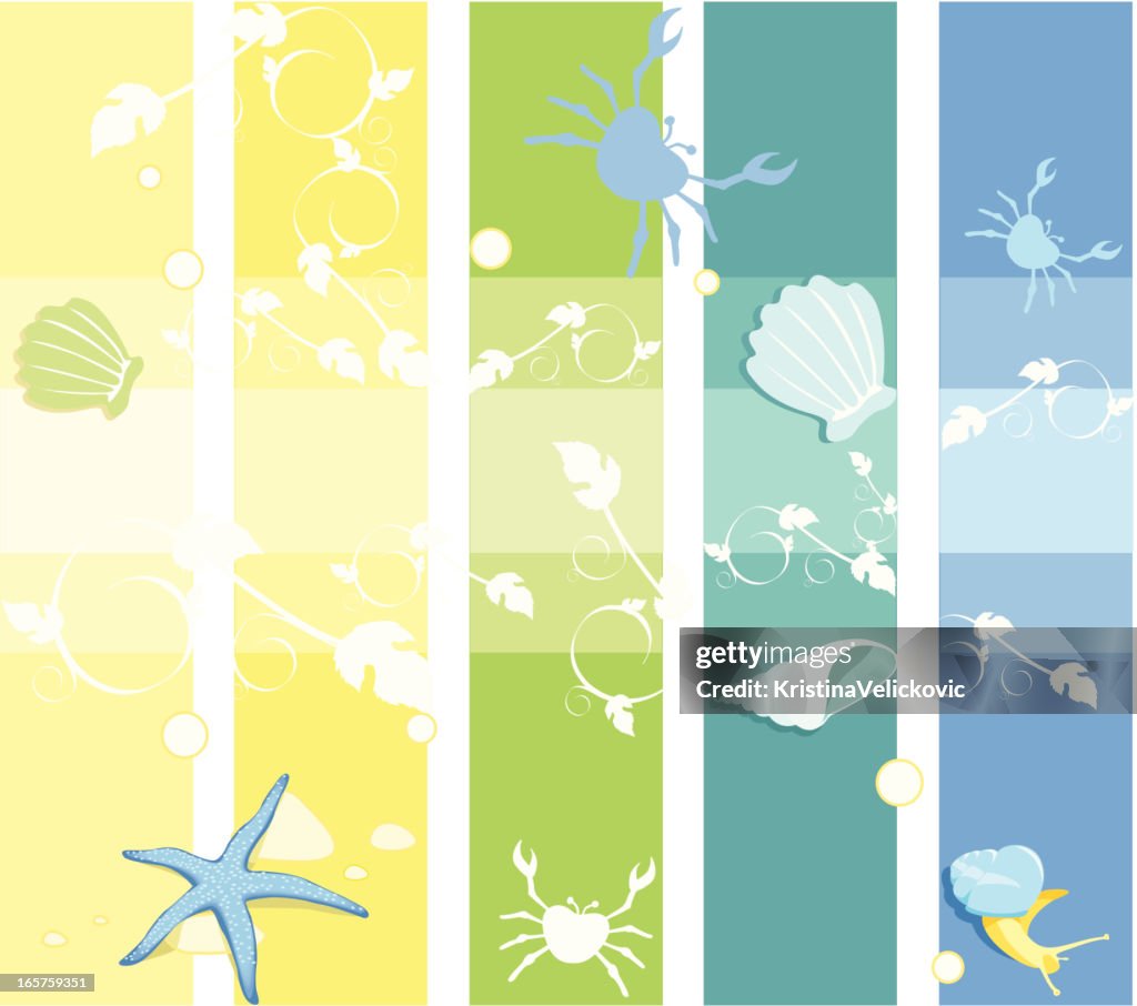 Banner Header Design Shell Banners With Shells High-Res Vector Graphic - Getty Images