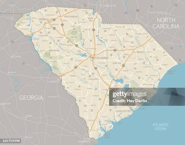 south carolina map - south carolina stock illustrations