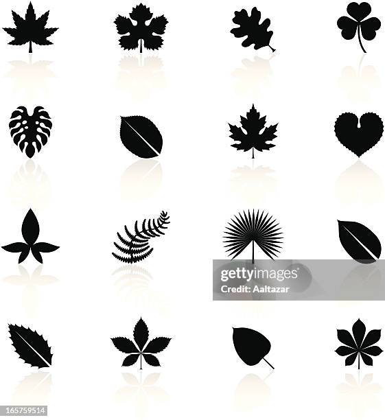 black symbols - leaves - fig tree stock illustrations