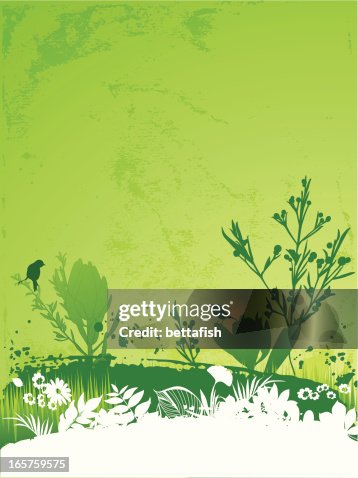 Spring birds design Spring birds design