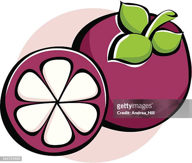 stockillustraties, clipart, cartoons en iconen met vector icon of a mangosteen fruit isolated on white background. - mangosteen