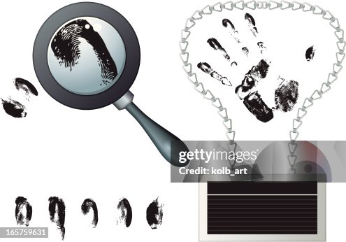 Police identification techniques Police identification techniques