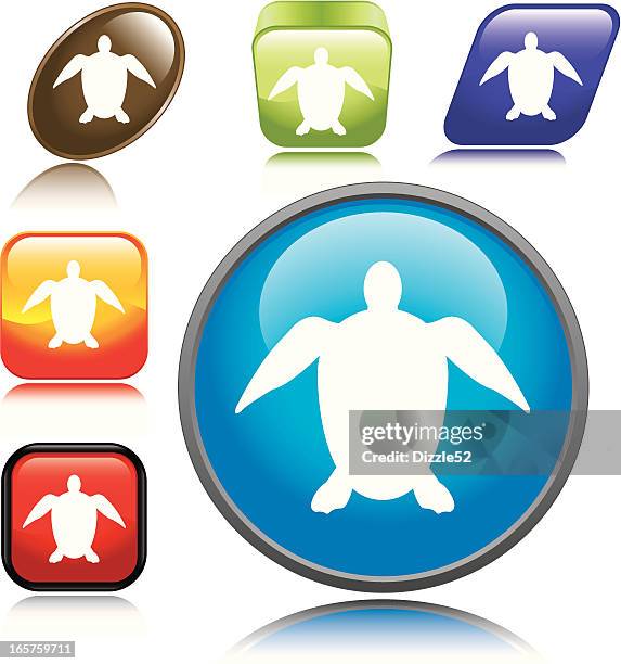 sea turtle icon - turtle shell stock illustrations