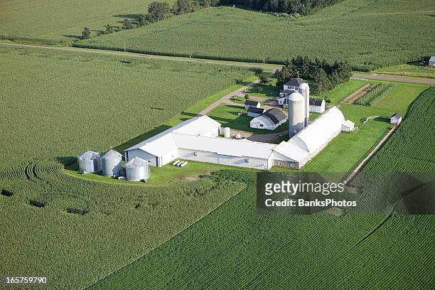 aerial mid-summer farm surrounded by cornfields - white barn stock pictures, royalty-free photos & images