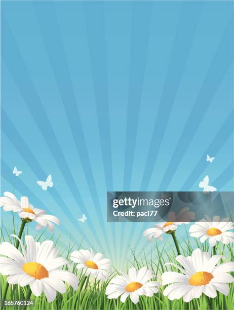 blume hintergrund - primavera stock-grafiken, -clipart, -cartoons und -symbole