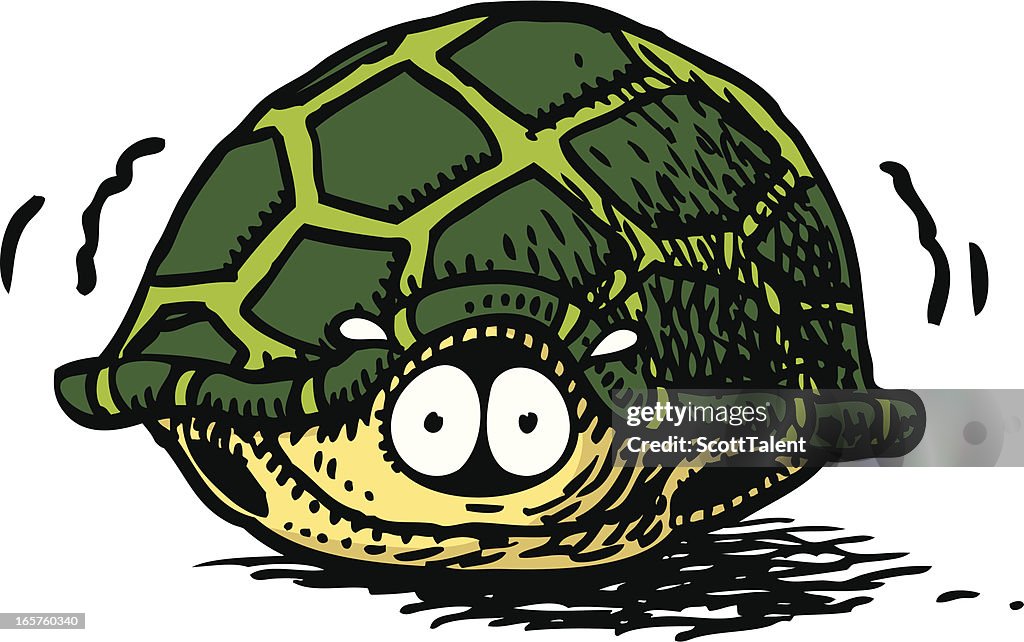 Scared Turtle High-Res Vector Graphic - Getty Images