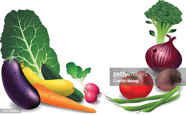 stockillustraties, clipart, cartoons en iconen met fresh vegetables - spaanse ui