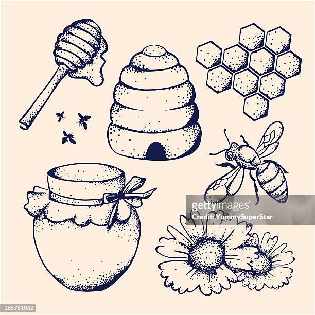 ilustrações de stock, clip art, desenhos animados e ícones de abelha de mel e - bee stock illustrations