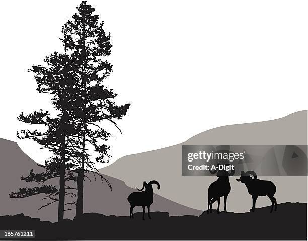 stockillustraties, clipart, cartoons en iconen met mountain mammals vector silhouette - bighorn sheep