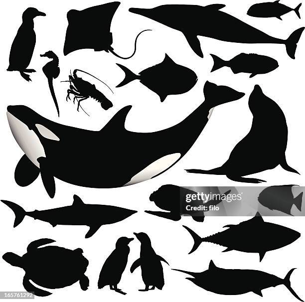 illustrazioni stock, clip art, cartoni animati e icone di tendenza di oceano silhouette di animali - marlin