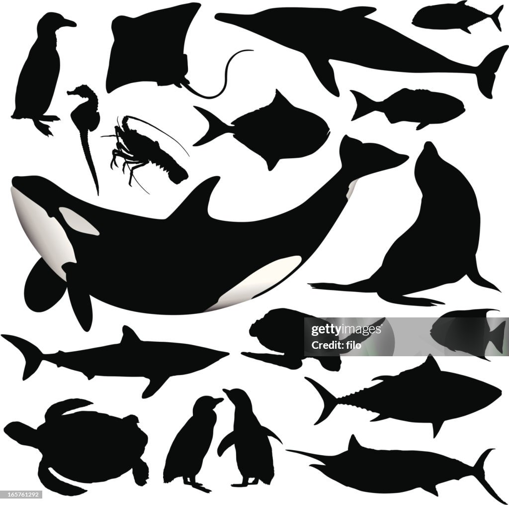 Ocean Animal Silhouettes