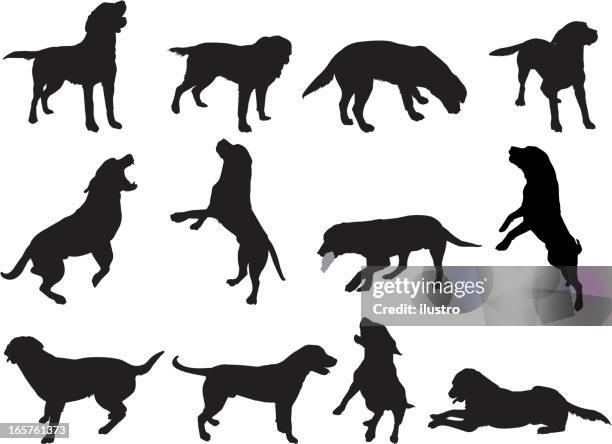 silhouettes of dogs in various positions - long jump stock illustrations