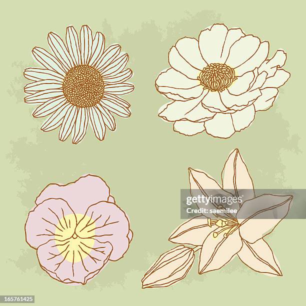 hand drawn flowers - pansy stock illustrations
